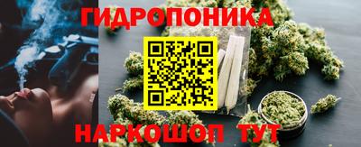 apvp Кузнецк