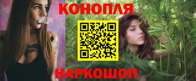 apvp Кузнецк