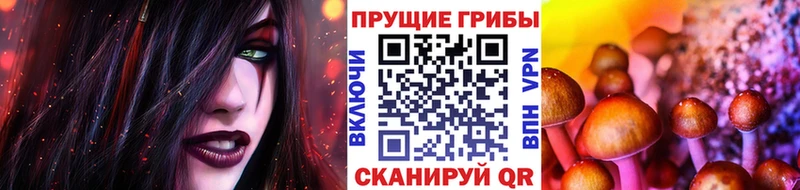 гидра онион darknet официальный сайт Галлюциногенные грибы Cubensis дарнет шоп Курск